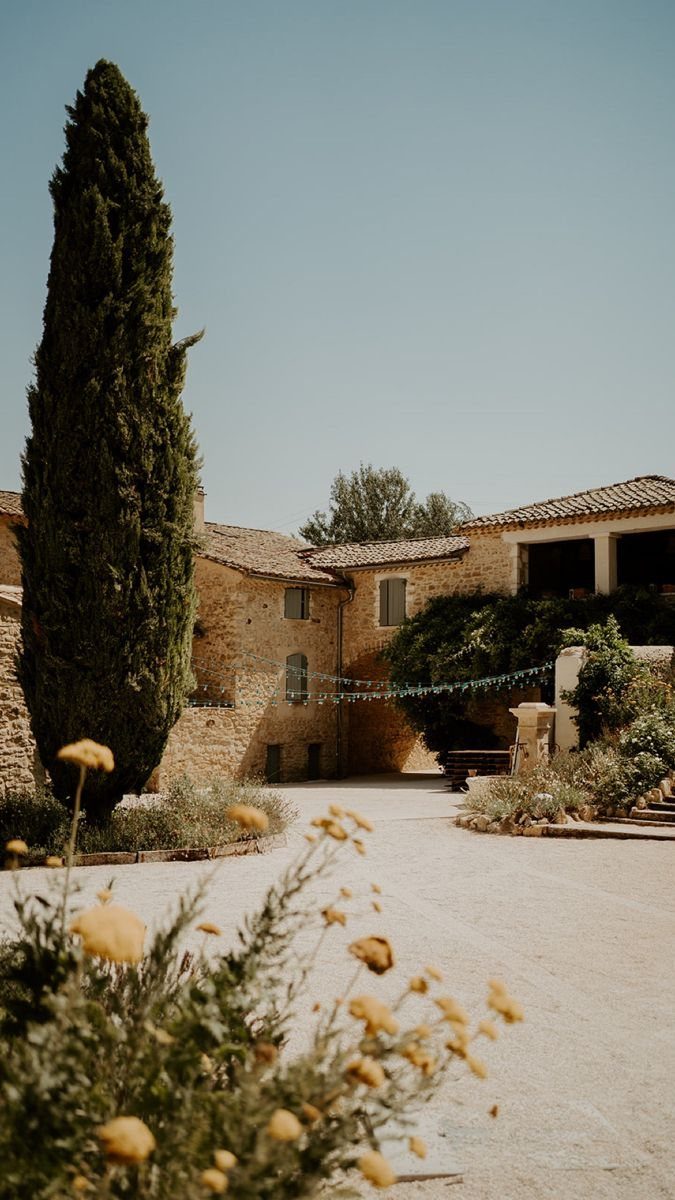 Cour d’un mas provençal en pierre avec un grand cyprès